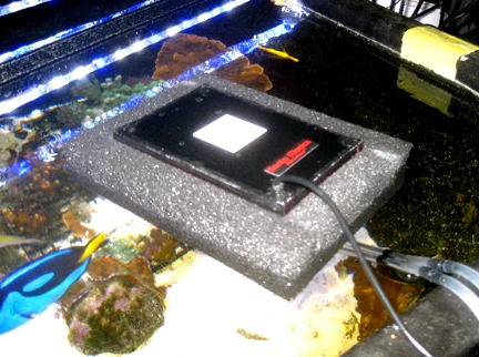 Algae Scrubber Setup Guide
