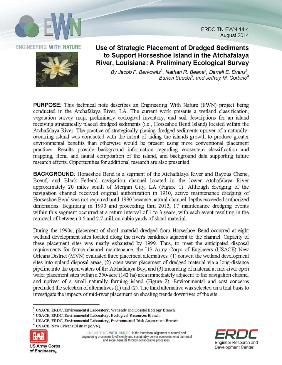Dwarf Sagittaria Nutrient Needs