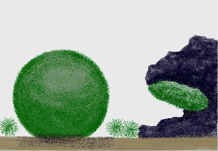 Marimo Moss Ball Guide